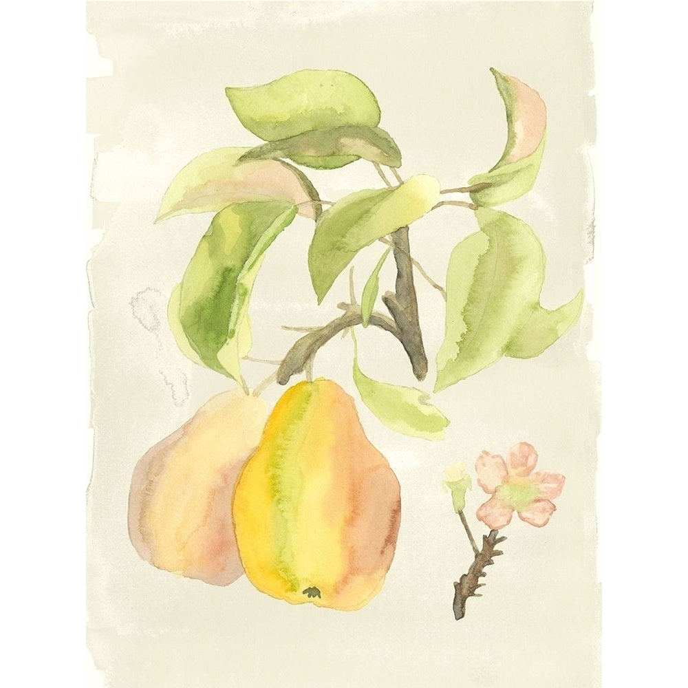 Custom Watercolor Fruit III-VARPDX106516Z Image 1