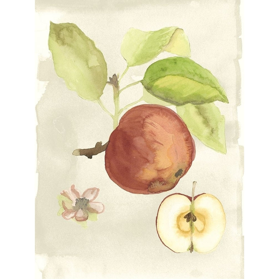 Custom Watercolor Fruit IV-VARPDX106517Z Image 1