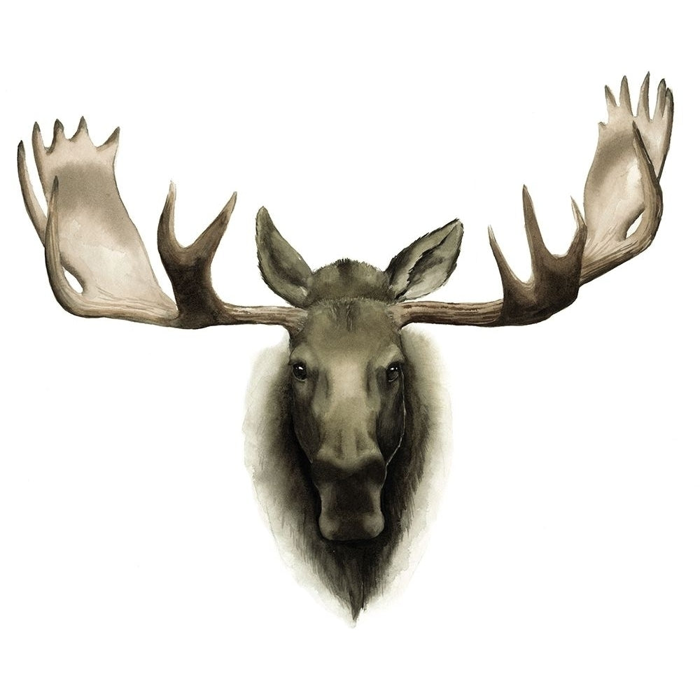 Custom Single Moose Poster Print - Grace Popp-VARPDX106589Z Image 1