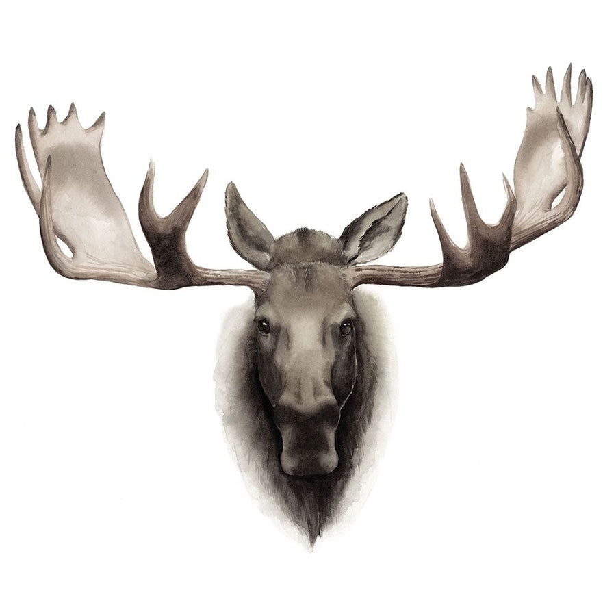 Custom Single Moose Poster Print - Grace Popp-VARPDX106591VM Image 1