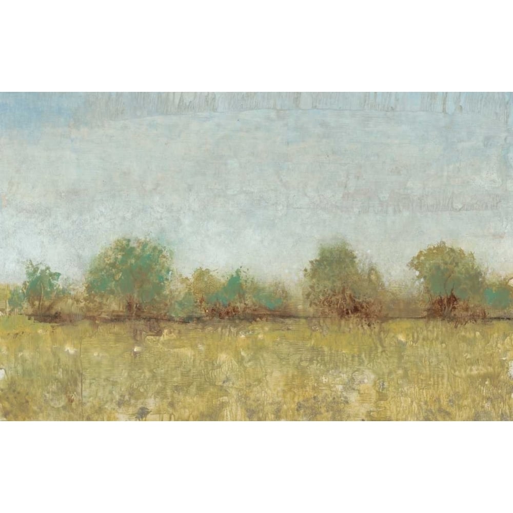 Spring Field I Poster Print - Tim OToole-VARPDX106709Z Image 1