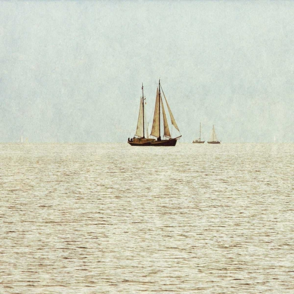 Sail Boats I Poster Print by Kathy Mansfield-VARPDX10690A Image 1