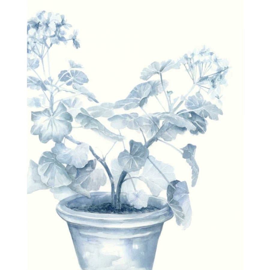 Blue Geranium I Poster Print - Megan Meagher-VARPDX107327Z Image 1