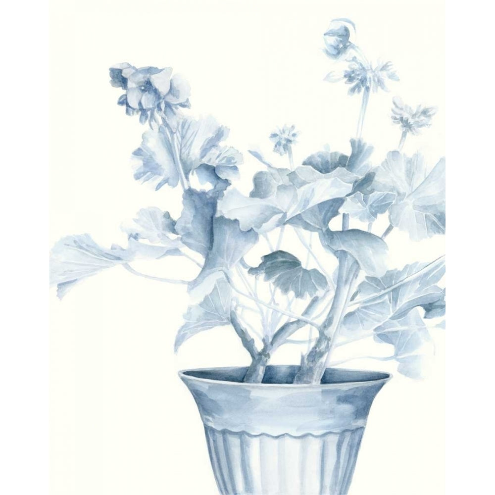 Blue Geranium II Poster Print - Megan Meagher-VARPDX107328Z Image 1