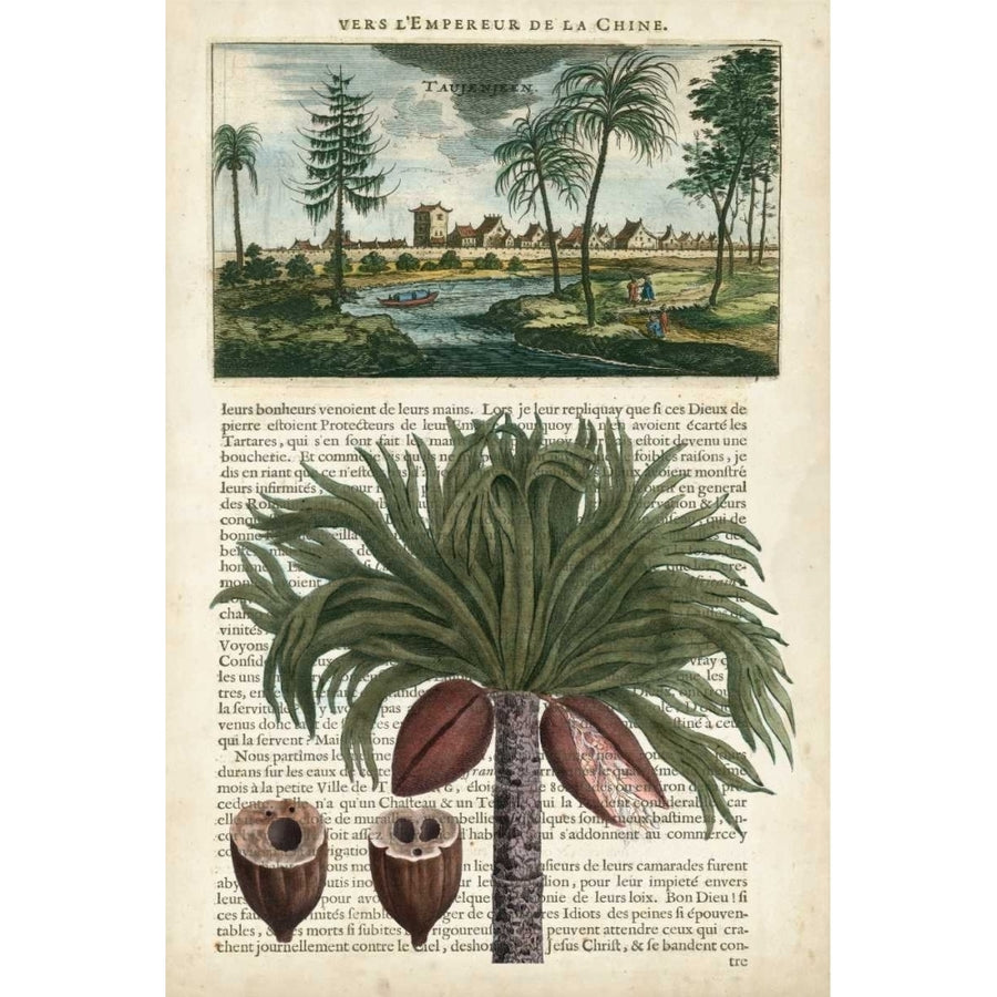 Journal of the Tropics IV Poster Print - Studio Vision-VARPDX107435Z Image 1