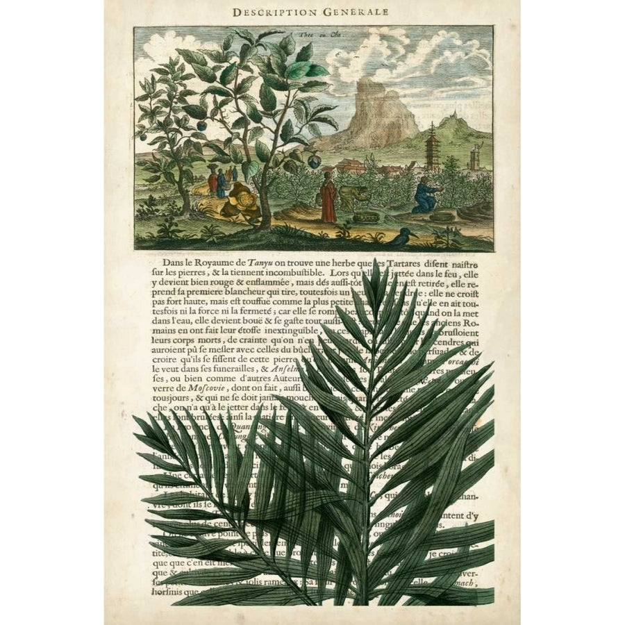 Journal of the Tropics II Poster Print - Studio Vision-VARPDX107433Z Image 1