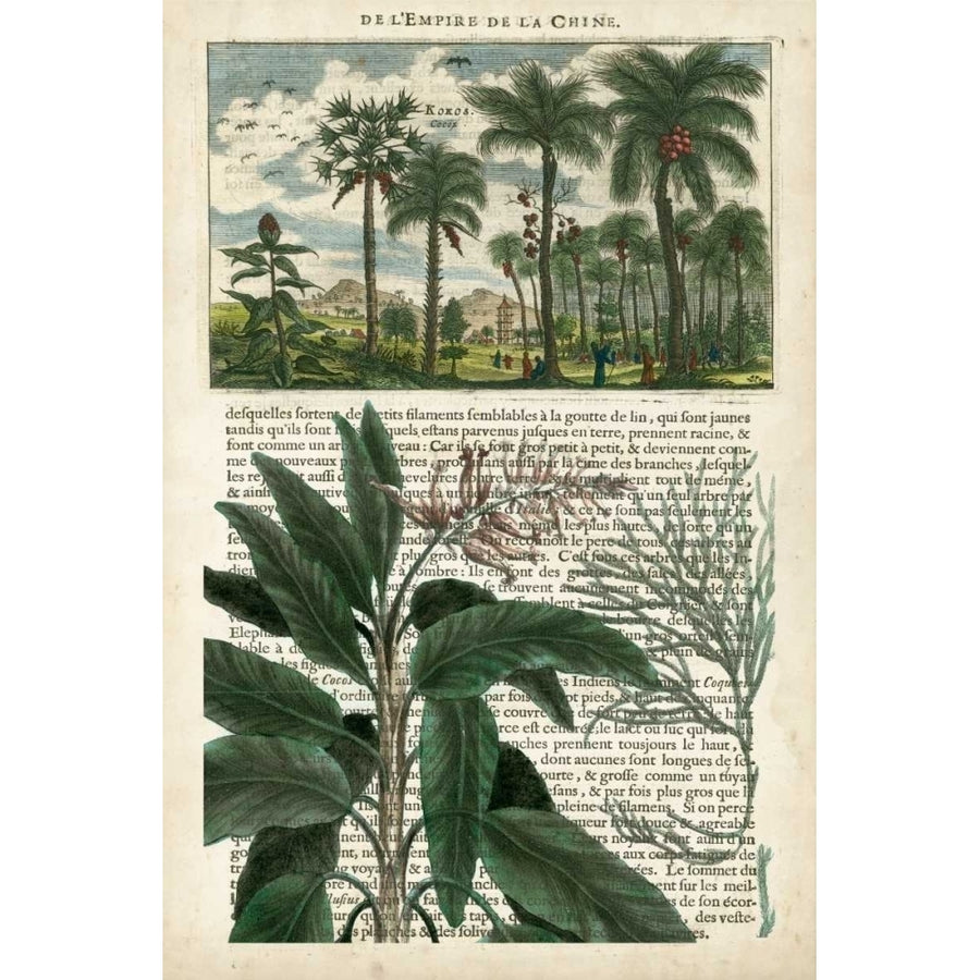 Journal of the Tropics I Poster Print - Studio Vision-VARPDX107432Z Image 1