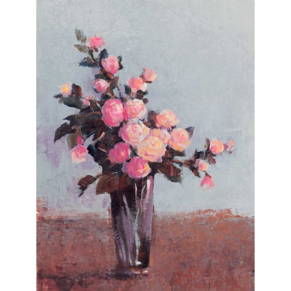 Soft Lit Roses II Poster Print - Tim OToole-VARPDX107447GG Image 1