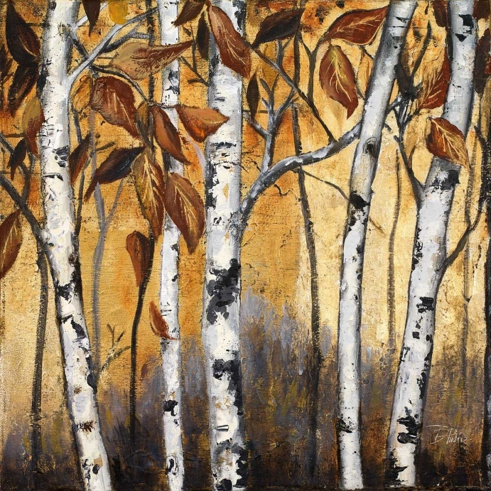 Birchwood Trees on Gold I Poster Print by Patricia Pinto-VARPDX10745 Image 1