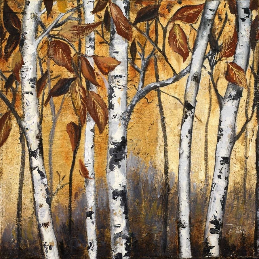 Birchwood Trees on Gold I Poster Print by Patricia Pinto-VARPDX10745 Image 1