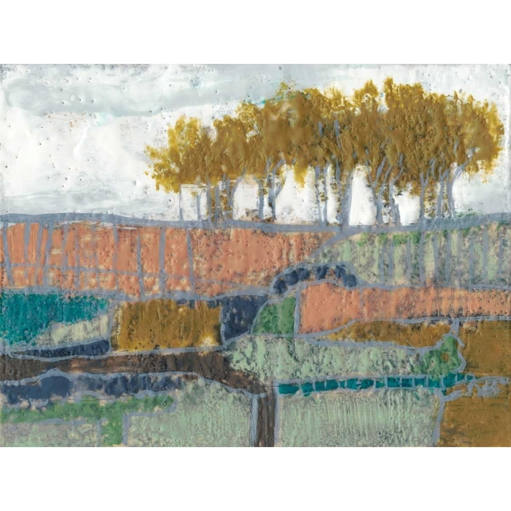 Patchwork Landscape II Poster Print - Jennifer Goldberger-VARPDX107544FN Image 1