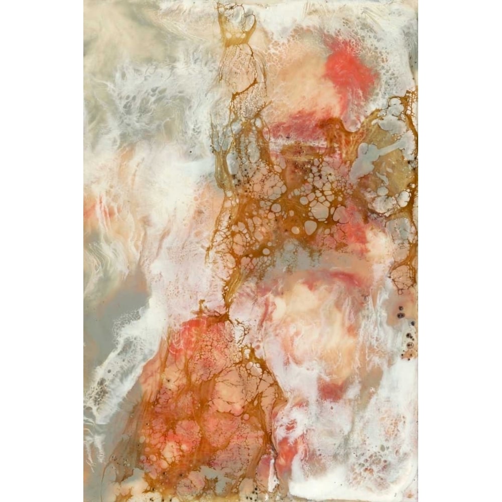 Coral Lace II Poster Print - Jennifer Goldberger-VARPDX107582Z Image 1