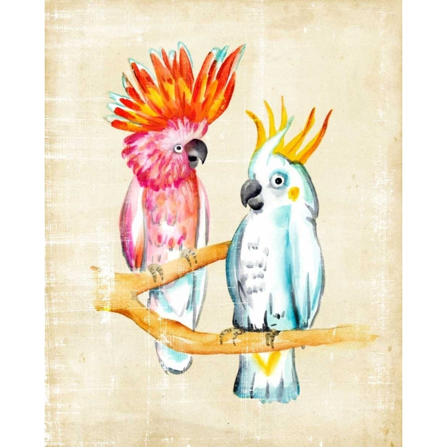 Fanciful Birds IV Poster Print - Chariklia Zarris-VARPDX107648Z Image 1