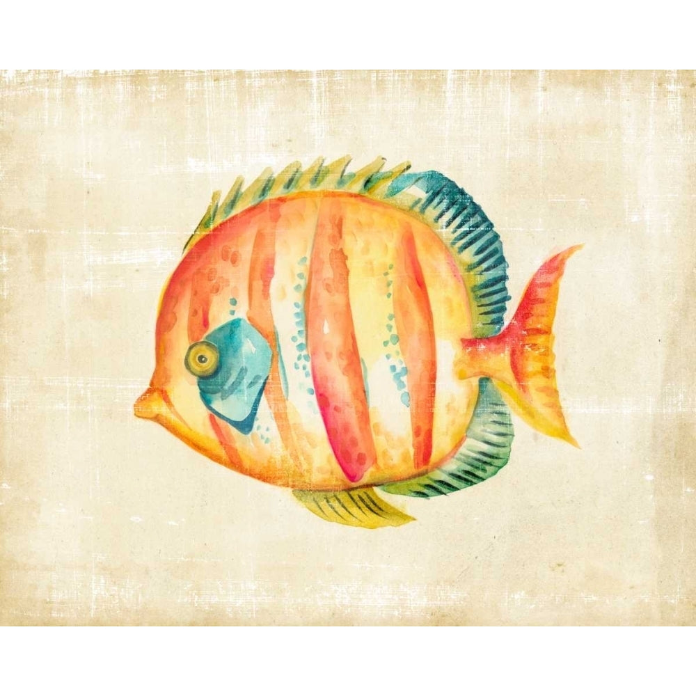 Aquarium Fish II Poster Print - Chariklia Zarris-VARPDX107650Z Image 1