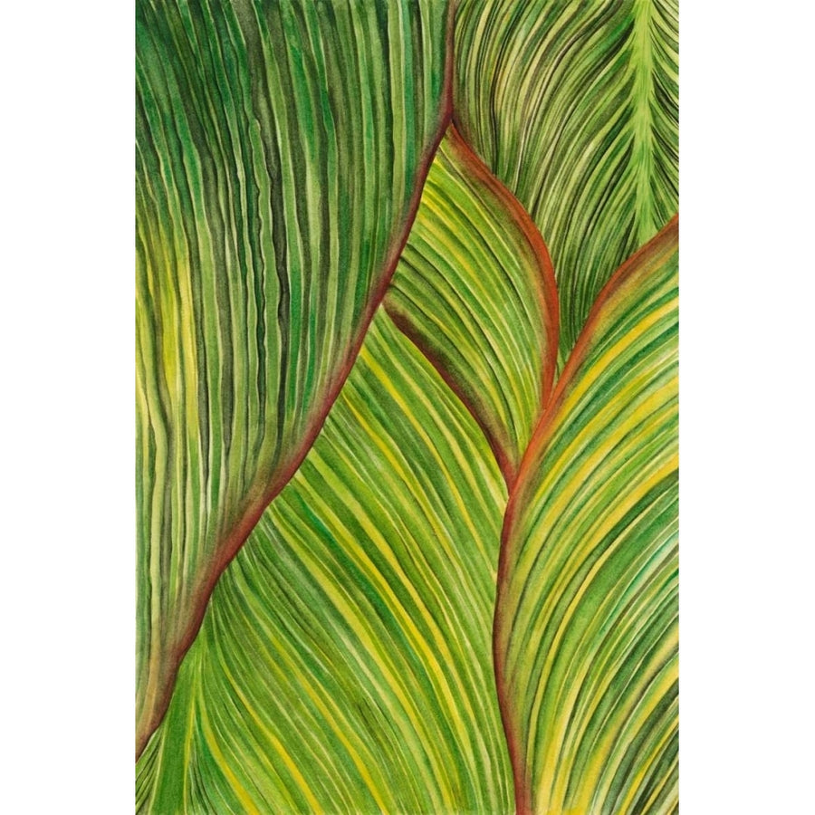 Tropical Crop II Poster Print - Melissa Wang-VARPDX107693Z Image 1