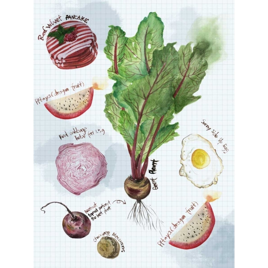 Food Sketches II Poster Print - Melissa Wang-VARPDX107752D Image 1