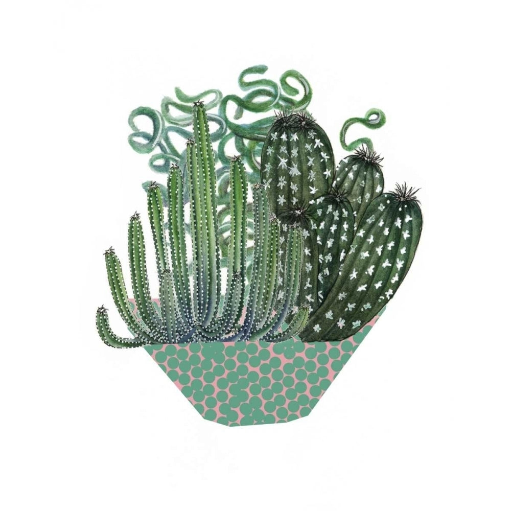 Cactus Arrangement II Poster Print - Melissa Wang-VARPDX107768GG Image 1