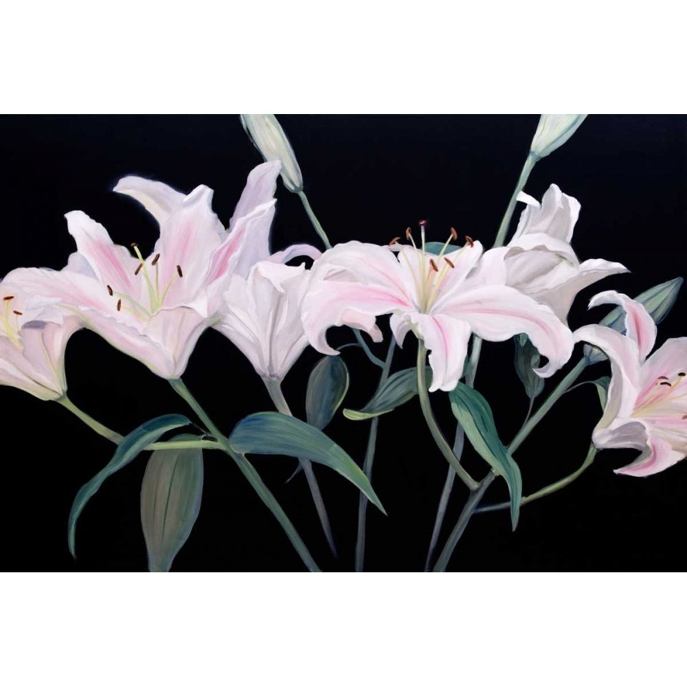 Dramatic Lilies Poster Print - Sandra Iafrate-VARPDX108008GG Image 1