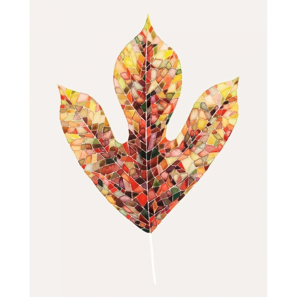 Fall Mosaic Leaf II Poster Print - Grace Popp-VARPDX108053Z Image 1