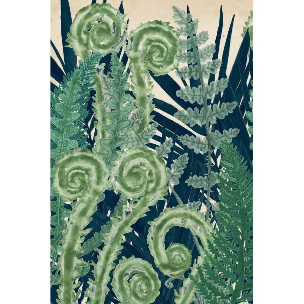 Fiddlehead Waltz I Poster Print - Naomi McCavitt-VARPDX108276Z Image 1