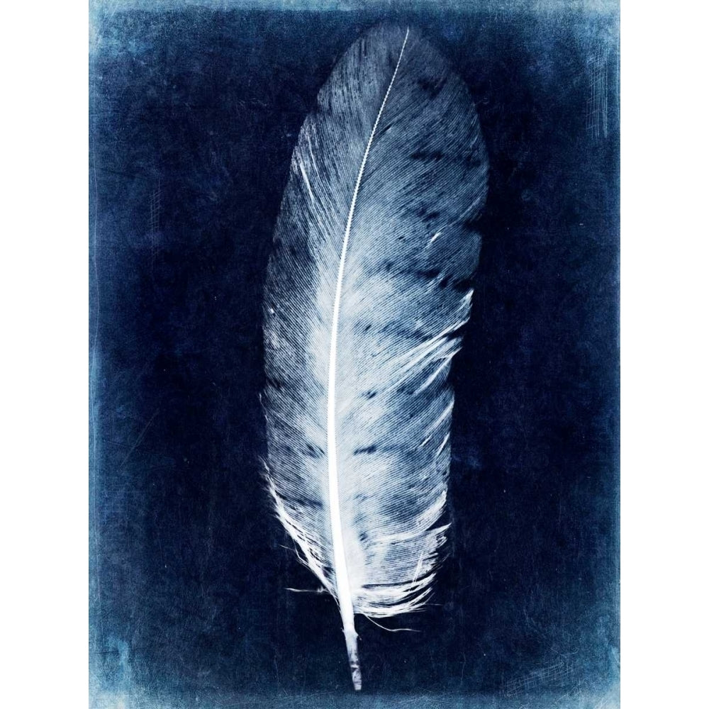 Inverted Feather VI Poster Print - Honey Malek-VARPDX108347GG Image 1