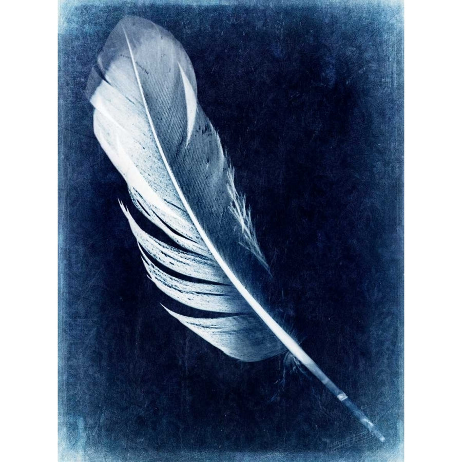 Inverted Feather I Poster Print - Honey Malek-VARPDX108342GG Image 1