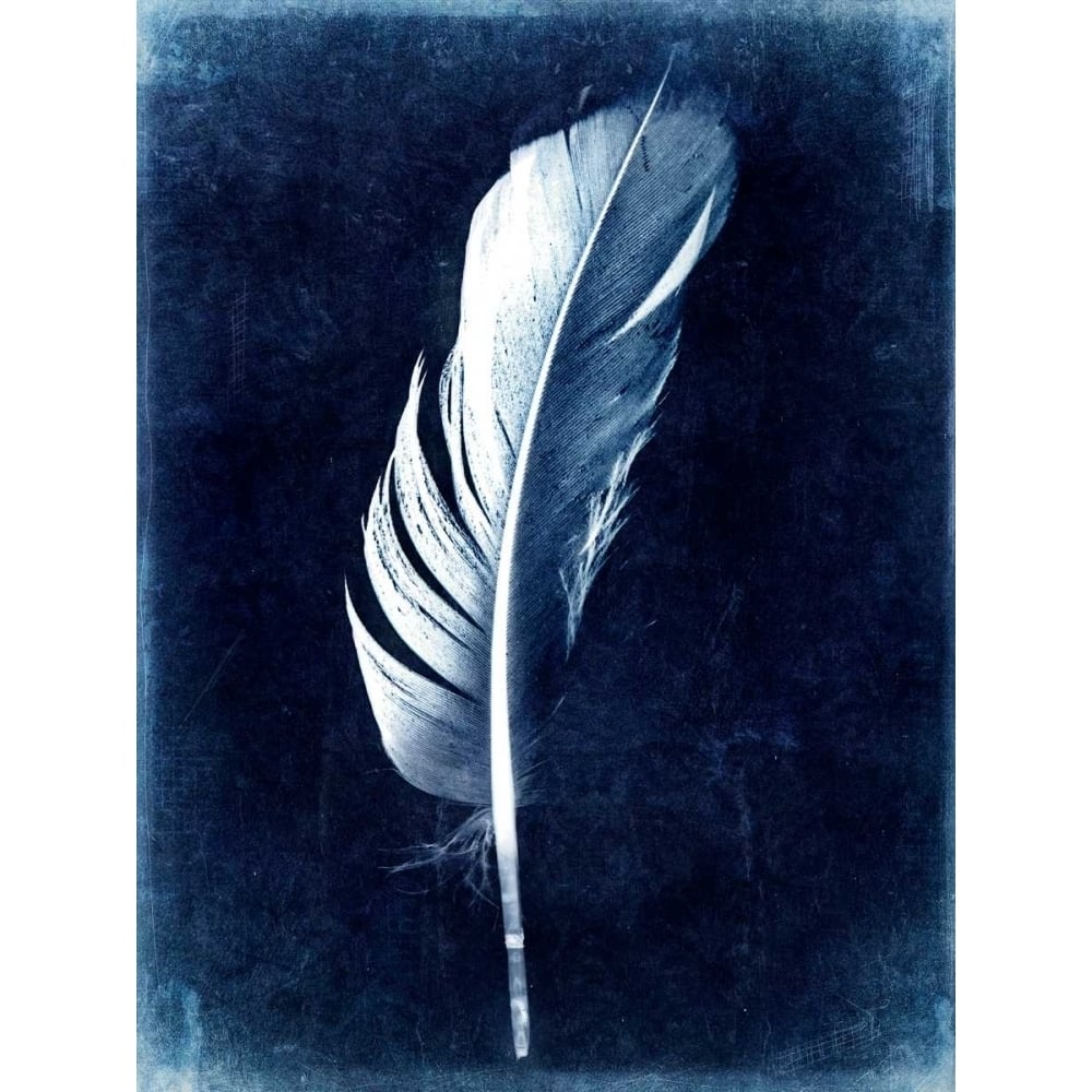 Inverted Feather II Poster Print - Honey Malek-VARPDX108343GG Image 1