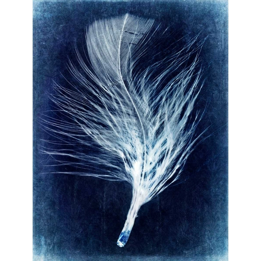 Inverted Feather III Poster Print - Honey Malek-VARPDX108344GG Image 1