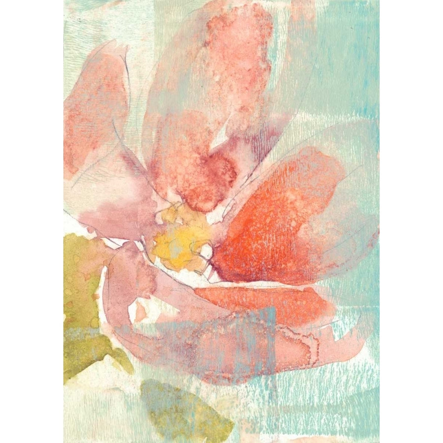 Veiled Poppy I Poster Print - Jennifer Goldberger-VARPDX108387FN Image 1