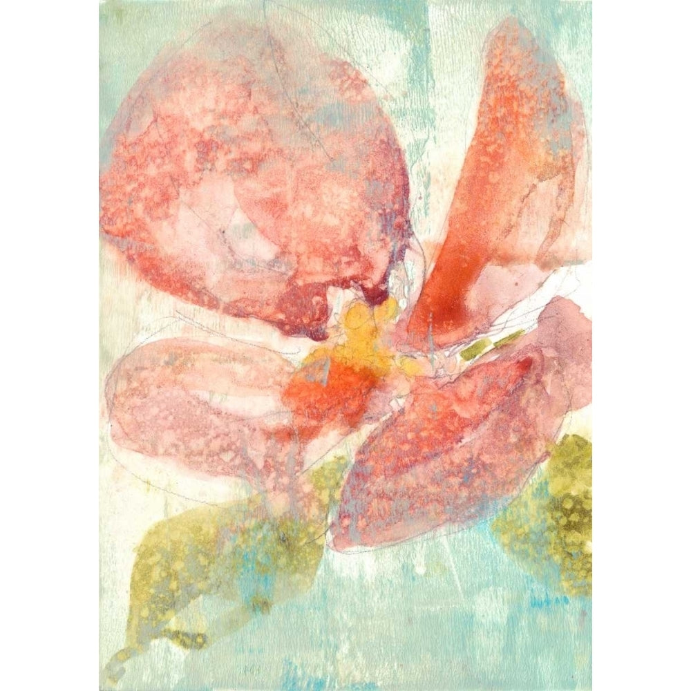 Veiled Poppy II Poster Print - Jennifer Goldberger-VARPDX108388FN Image 1