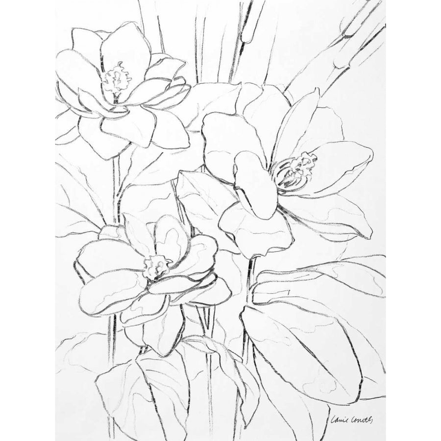 Floral Sketch I Poster Print by Lanie Loreth-VARPDX10845 Image 1