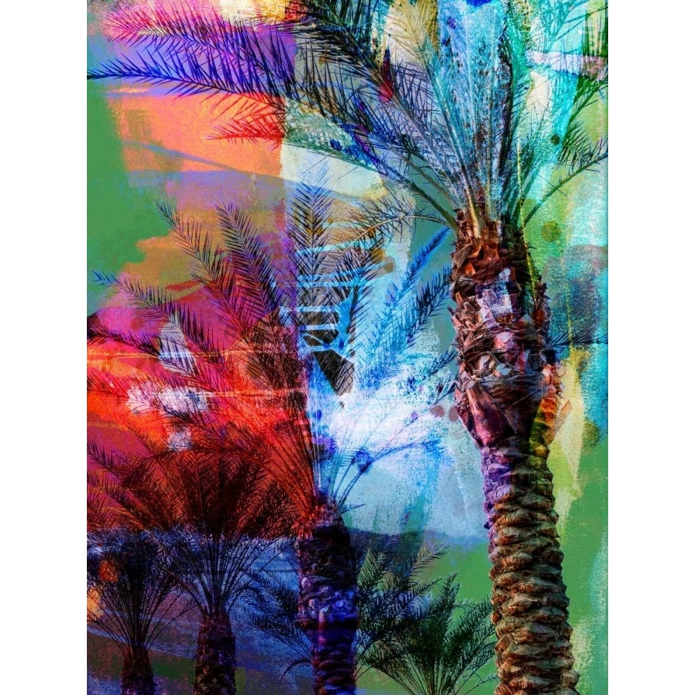 Desert Palm Abstract Poster Print - Sisa Jasper-VARPDX108459Z Image 1