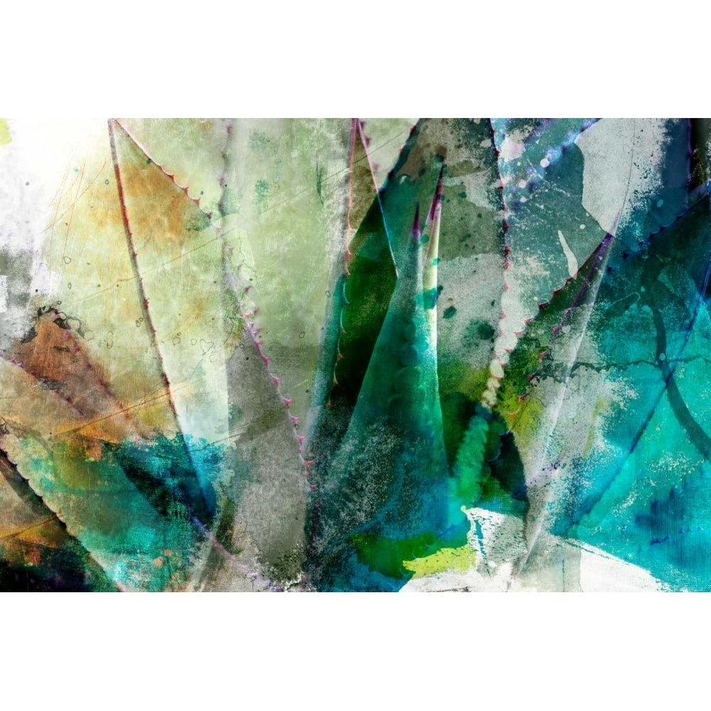 Agave Abstract II Poster Print - Sisa Jasper-VARPDX108456Z Image 1