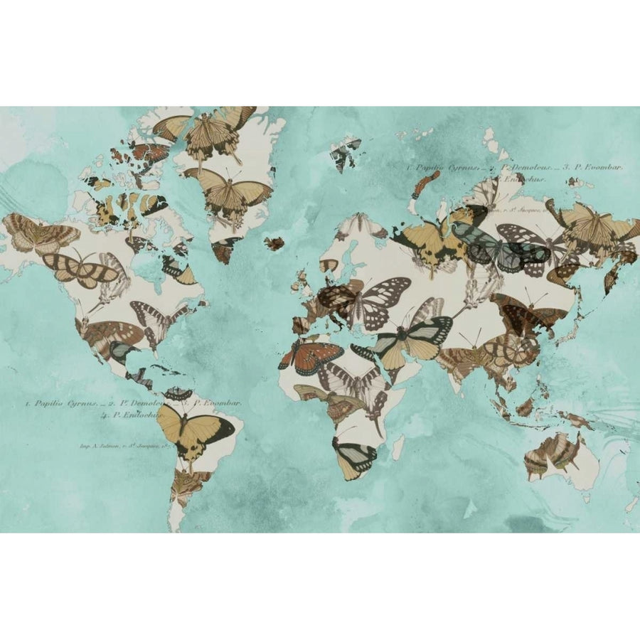 Migration of Butterflies Poster Print - Jennifer Goldberger-VARPDX108530GG Image 1