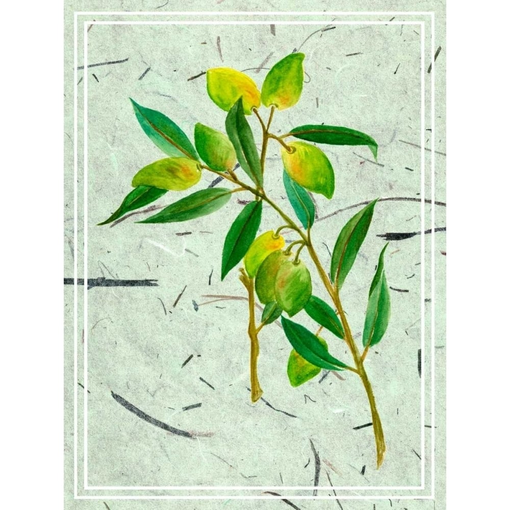 Olives on Textured Paper I Poster Print - Melissa Wang-VARPDX108539D Image 1