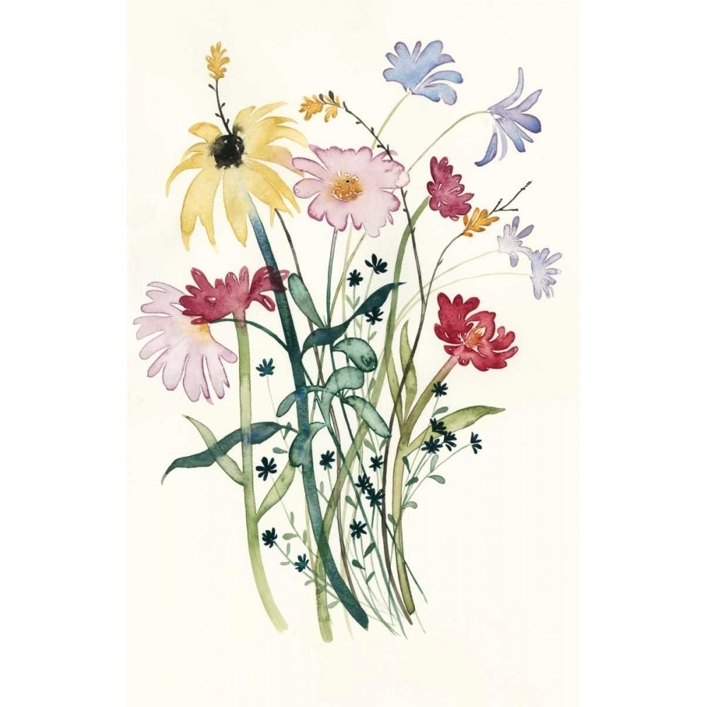 Wildflower Watercolor I Poster Print - Grace Popp-VARPDX108552Z Image 1