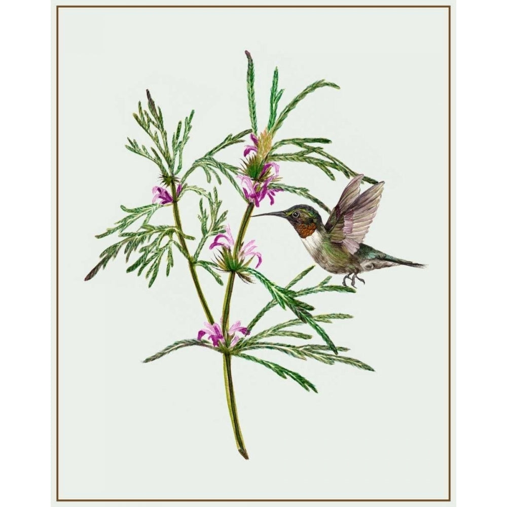 Leonurus Japonicus I Poster Print - Melissa Wang-VARPDX108582Z Image 1