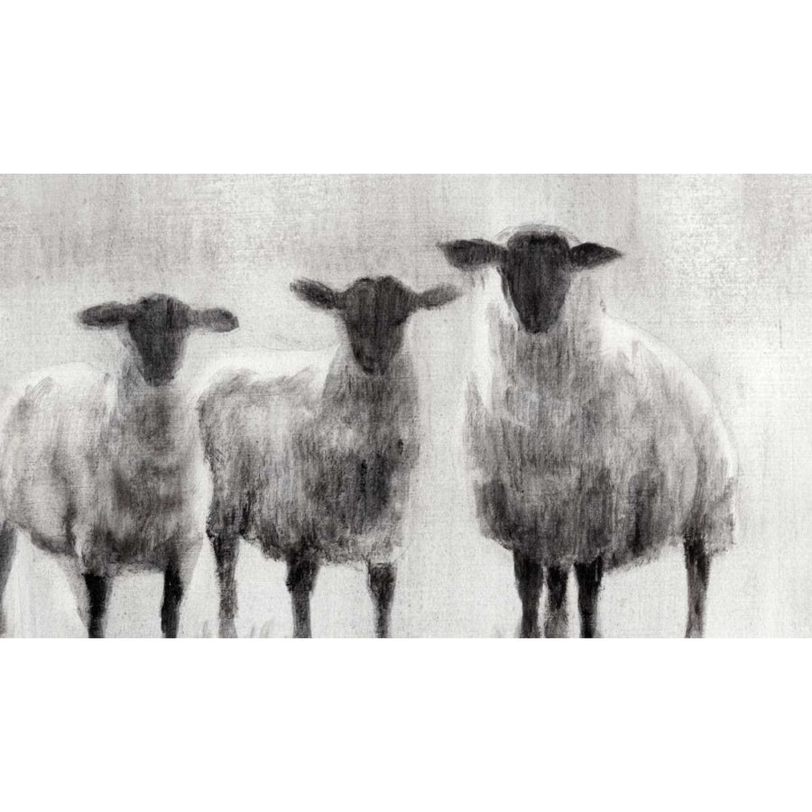 Rustic Sheep I Poster Print - Ethan Harper-VARPDX108591FN Image 1