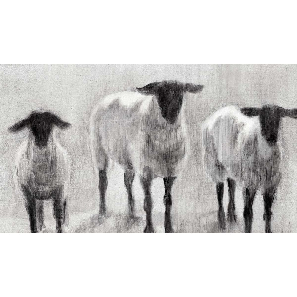 Rustic Sheep II Poster Print - Ethan Harper-VARPDX108592FN Image 1