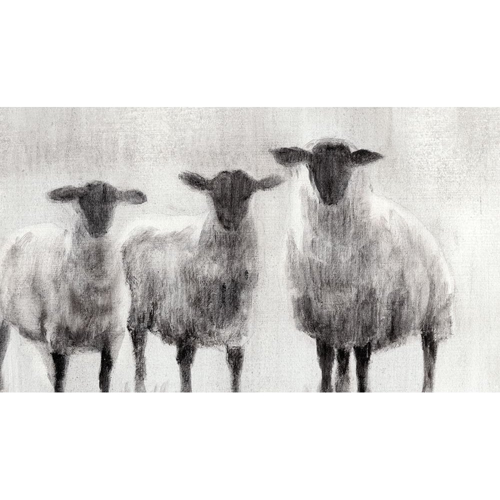 Rustic Sheep I Poster Print - Ethan Harper-VARPDX108591GG Image 1