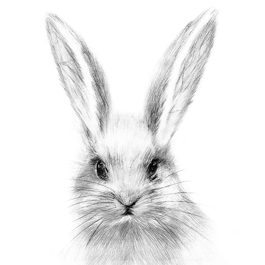 White Rabbit Poster Print - Melissa Wang-VARPDX108728VM Image 1