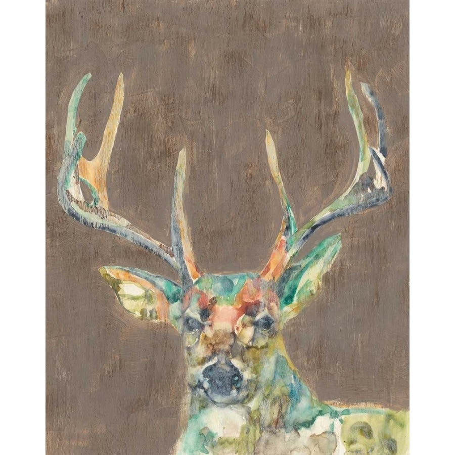 Rustic Wildlife I Poster Print - Jennifer Goldberger-VARPDX108749GG Image 1