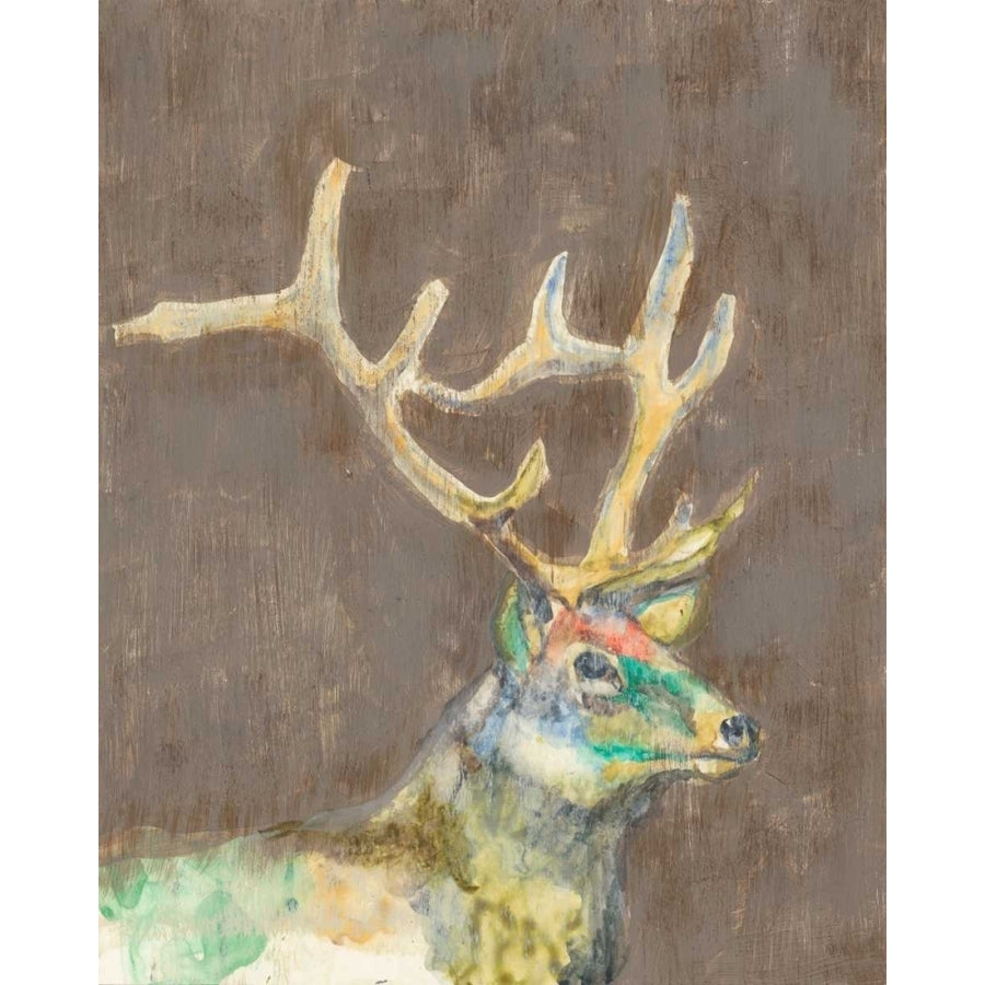 Rustic Wildlife II Poster Print - Jennifer Goldberger-VARPDX108750GG Image 1