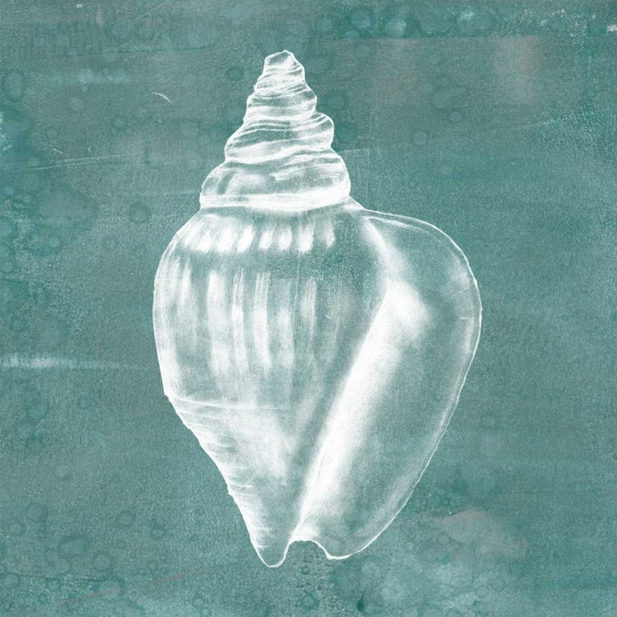 Solitary Shell II Poster Print - Jennifer Goldberger-VARPDX108756D Image 1