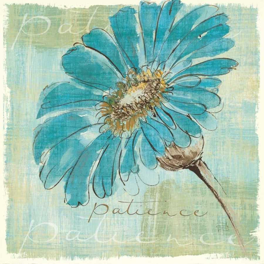 Spa Daisies II Poster Print by Chris Paschke-VARPDX10896 Image 1