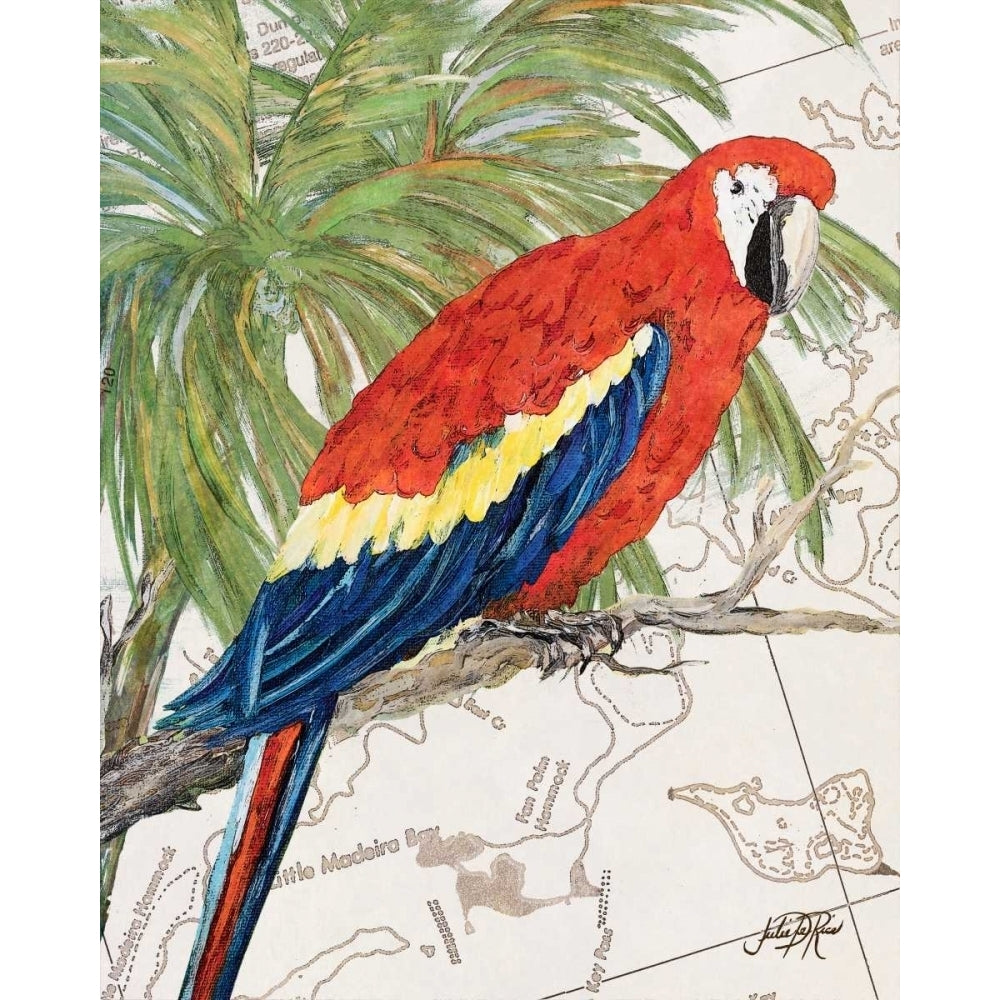 Another Bird in Paradise I Poster Print by Julie DeRice-VARPDX10906 Image 1