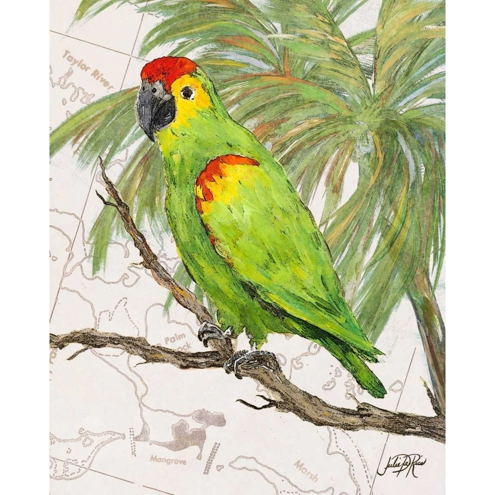 Another Bird in Paradise II Poster Print by Julie DeRice-VARPDX10907 Image 1