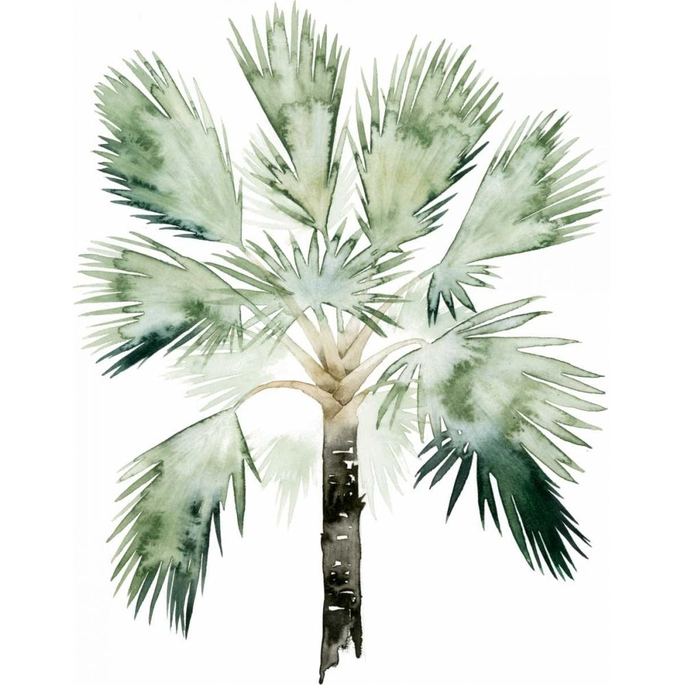 Watercolor Palm of the Tropics I Poster Print - Grace Popp-VARPDX109103Z Image 1