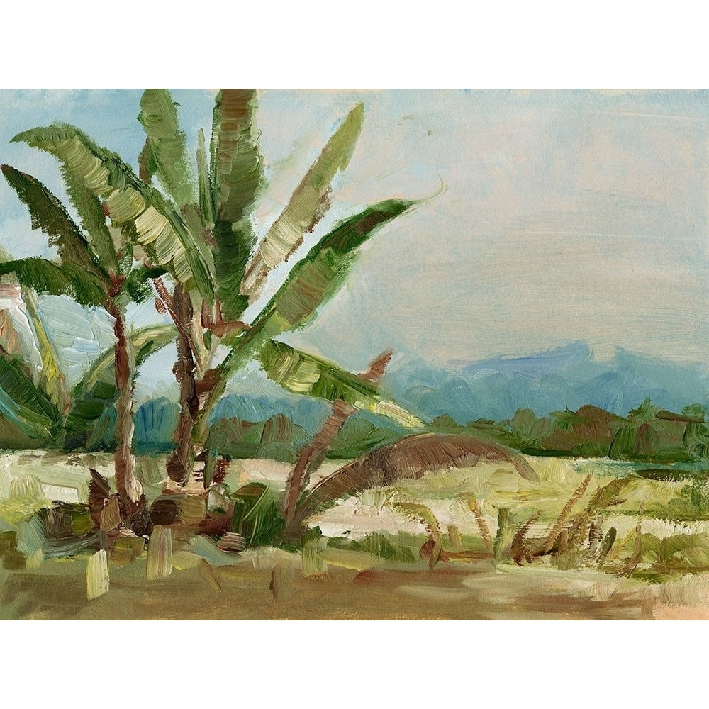 Southern Palms I Poster Print - Ethan Harper-VARPDX109201FN Image 1