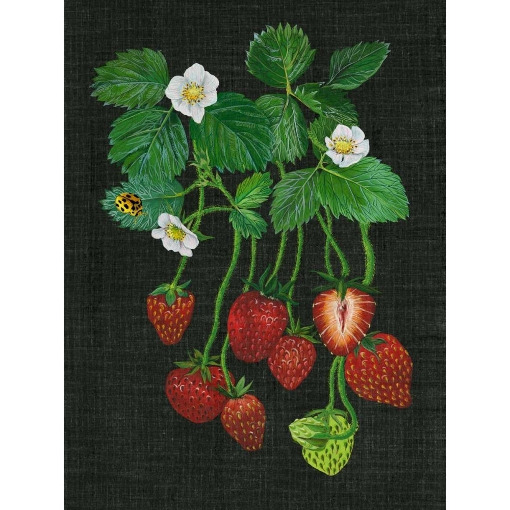 Strawberry Fields II Poster Print - Melissa Wang-VARPDX109306Z Image 1